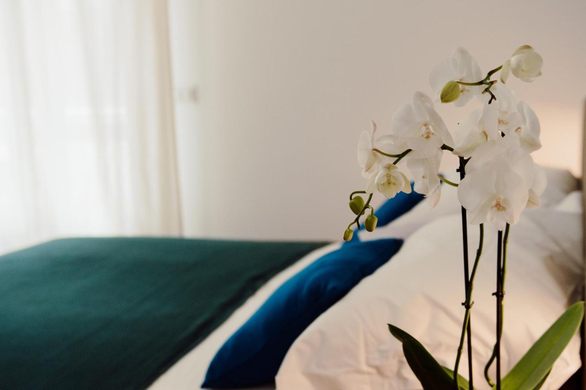 Sweet Dreams Hotel Civitavecchia Buitenkant foto